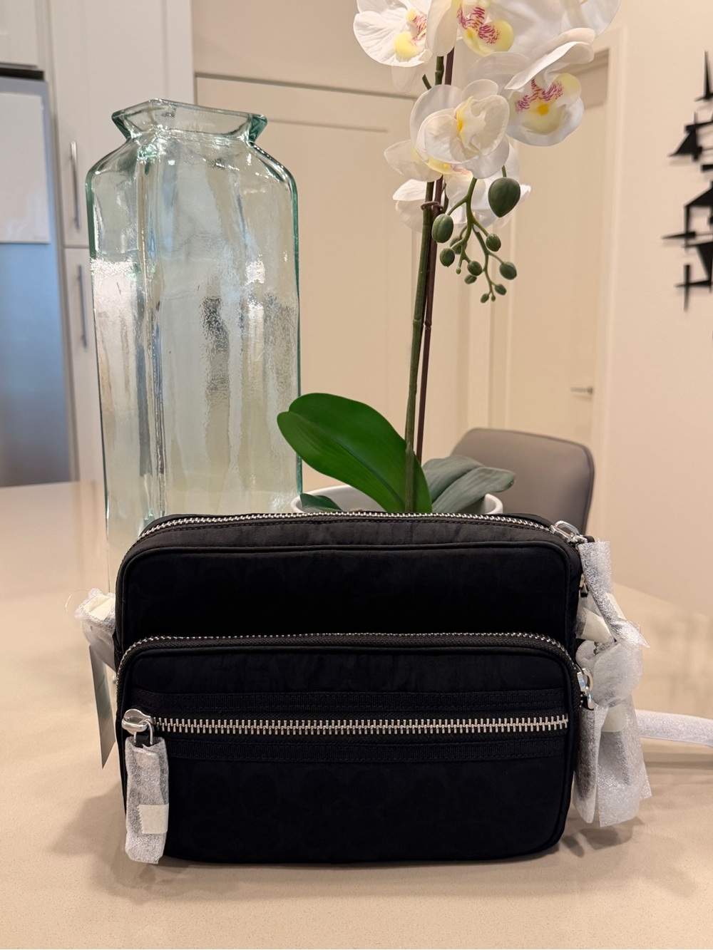 Coach Dakota Crossbody Bag In Signature Nylon (Black) NWT